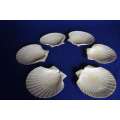 vintage Clam Shell Appetizer Serving  Dishes - Set of Six