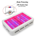 Best LED Grow Light 1000W Full Spectrum for Indoor Hydroponic Plant