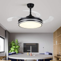 Modern Retractable Black Ceiling Fan Light