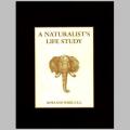 `A NATURALIST`S LIFE STUDY IN THE ART OF TAXIDERMY`  ROWLAND WARD