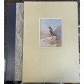 DELUXE EDITION DOUBLE SIGNED!! `HUNTERS OF THE AFRICAN SKY` BY P STEYN & G ARNOTT NUMBERED 116/150