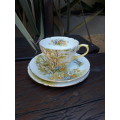 GORGEOUS VINTAGE SHELLEY CHINA ENGLAND "DAFFODIL TIME" 13370 TEA TRIO FLORAL BRIGHT & SUNNY