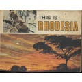 THIS IS RHODESIA  by PHILLIPPA BERLYN