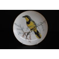 BEST LOVED BIRDS OF SOUTHERN AFRICA LIMITED EDITION-1983   -23CM PLATE   -BOKMAKIERIE