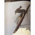 Birds of America. John James Audubon. 1965