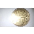 GOLD PLATED BITCOIN