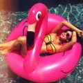 Inflatable Giant Flamingo Swimming Ring