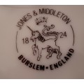 Jones and Middleton Burslem england Handpainted Floral Plate
