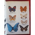 The Illustrated Encyclopedia of the BUTTERFLY WORLD over 2000 species reproduced life size