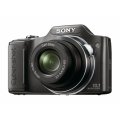 Sony Cyber-shot DSC-H20  10.1 MP Digital Camera with 10x Optical Zoom and Super Steady Shot