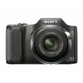 Sony Cyber-shot DSC-H20  10.1 MP Digital Camera with 10x Optical Zoom and Super Steady Shot