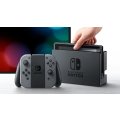 Nintendo Switch Console with Grey Joy-Con (NS)