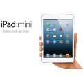 IPAD MINI | 32GB | 3G + WiFi | WHITE | MD544GP/A | A1455 | APPLE | 7.9 inch Tablet * iPad Mini*