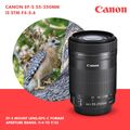 Canon EF-S 55-250m IS (Image Stabilizer) STM  Lens for Canon DSLR Cameras