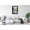 OIL PAINTING  - GALLERY RETAIL R6 850