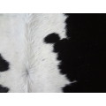 NGUNI COW HIDE - RETAIL R6 500