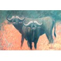 mark enslin oil painting  - buffalo