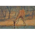 mark enslin oil painting  - giraffe