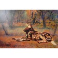 mark enslin oil painting - wild dog