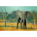 mark enslin oil painting - elephant