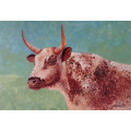 mark enslin oil painting  nguni cow