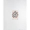 damien hirst - spin me right round print