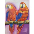 simone msimbine - parrots