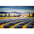 lavender fields landscape Oil Painting