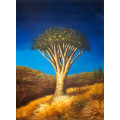 large african tree study oil painting