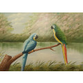 parrots oil painting