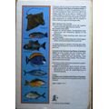 a Guide to the Common Sea Fishes of Southern Africa