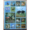 THE DICTIONARY OF BIRDS in colour