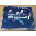 GIN BLOSSOMS As Long As It Matters CD