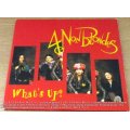 4 NON BLONDES What`s Up? IMPORT CD Single Shelf G Box 23