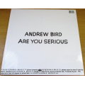 ANDREW BIRD Are You Serious? VINYL RECORD Indie Rock
