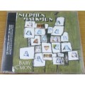 STEPHEN MALKMUS Baby C`Mon Promo CD [Shelf G Box 19]