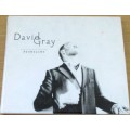 DAVID GRAY Foundling   CD [Shelf Z Box 4]