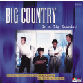 BIG COUNTRY In a Big Country Best Of