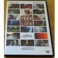 Cult Film: THE TREE OF LIFE Brad Pitt Sean Penn [SHELF D1]