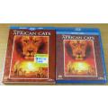 AFRICAN CATS BLU RAY + DVD