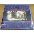 TEMPLE OF THE DOG Temple of the Dog LP VINYL Record [Pearl Jam / Soundgarden previous band]