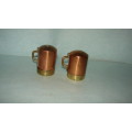 Unique Copper and Brass Salt and Pepper Shaker
