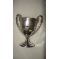 800 Silver Trophy  155g
