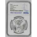 HOT - 2019South Africa Silver R5 Big 5 Elephant MS70 - First Releases