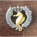 SOUTH AFRICA Navy Qualification Badge