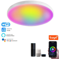 Smart Life Tuya WIFI Ceiling LED Light 24W CCT 2700-6500K | RGB 6-10W | 265V