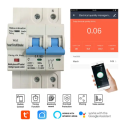 Smart Life Tuya WIFI 2P 230V 63A 13800W 13.8KW MCB Switch Circuit Breaker with Power Monitoring