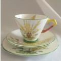 Delightful in yellow and green Royal Stafford Broom pattern Trio