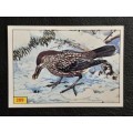 Figurine Panini Birds Sticker #289 (1979)