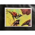 Figurine Panini Birds Sticker #284 (1979)